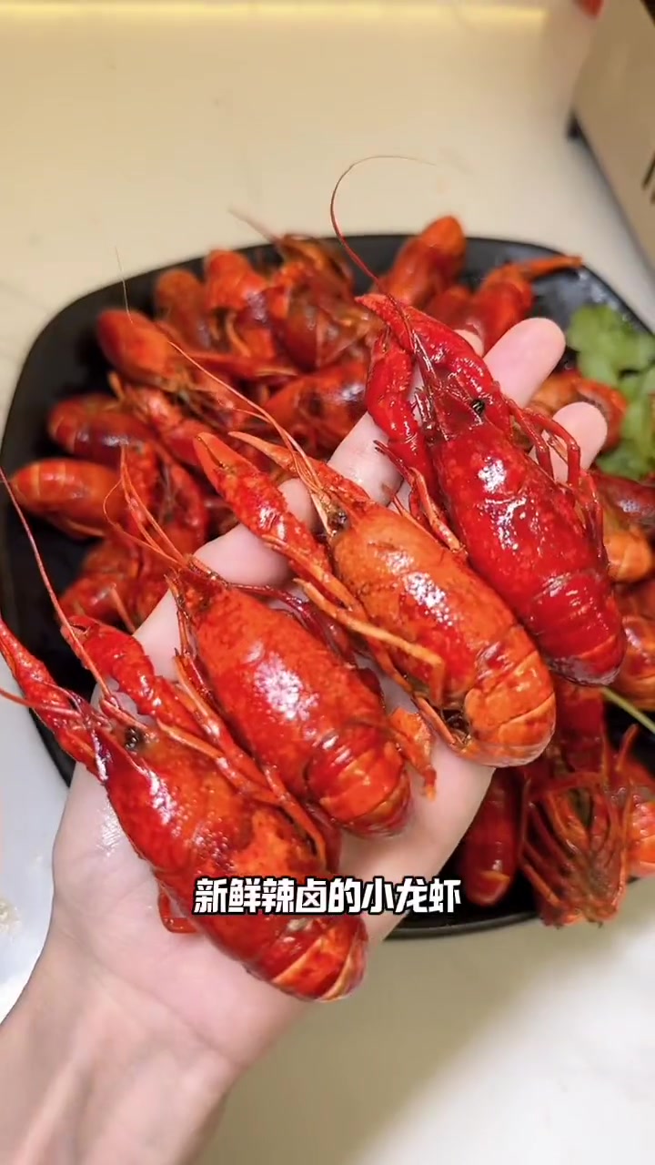 第121集|用一顿小龙虾开启这个夏天吧,厨小乐烤鱼烧烤安排 夜生活开始了 宵夜吃什么 开启