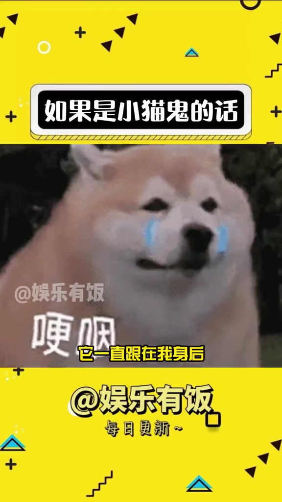 如果是小猫鬼的话 可以 万万没想到 猫咪 娱乐评论大赏 小猫咪能有什么坏心眼 铲屎官