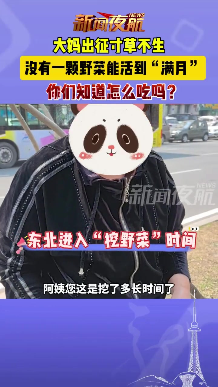 4月21日,东北进入“挖野菜”时间,大妈出征寸草不生,没有一颗野菜能活到“满月”,你们知道