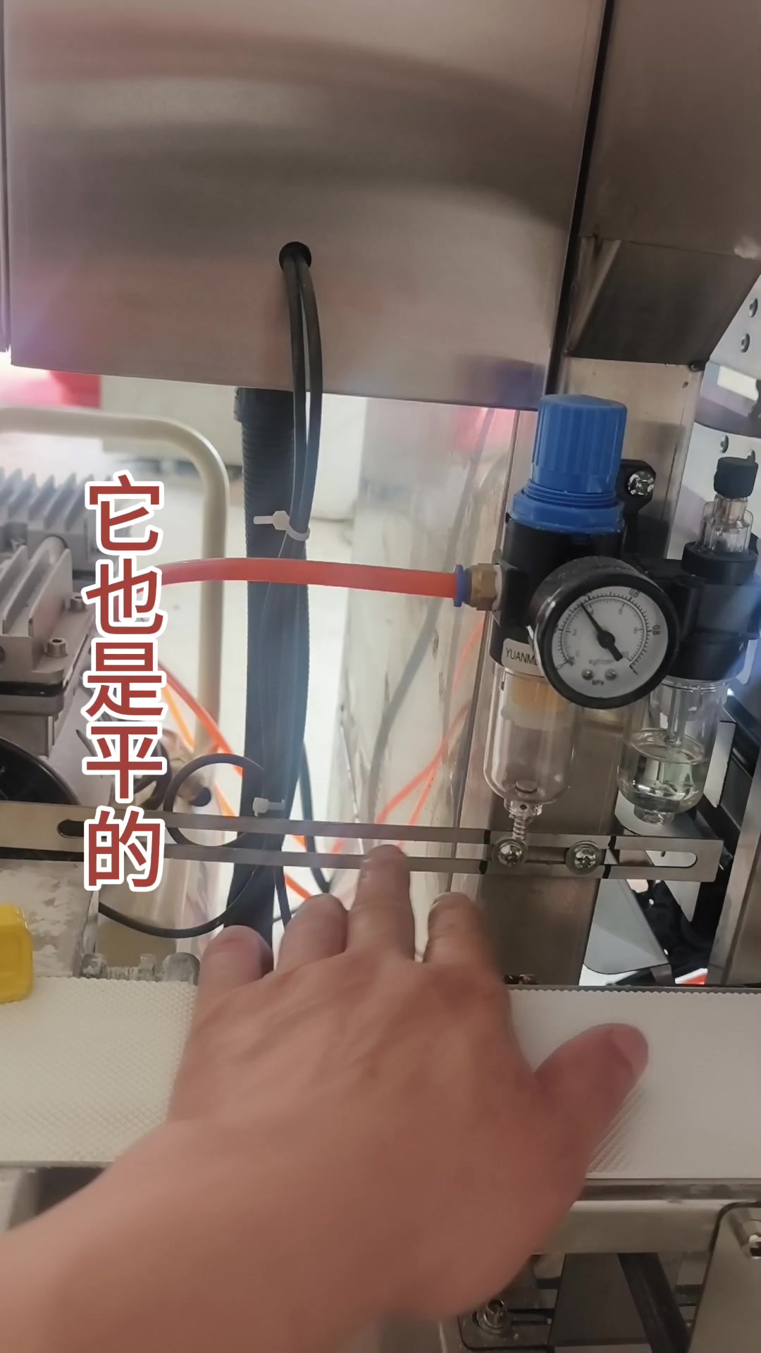 馒头摆盘机,省工省力