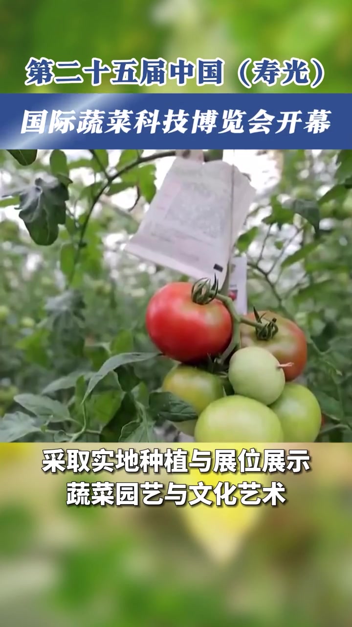 第二十五届中国(寿光)国际蔬菜科技博览会开幕 寿光 蔬菜 农业 科技博览会