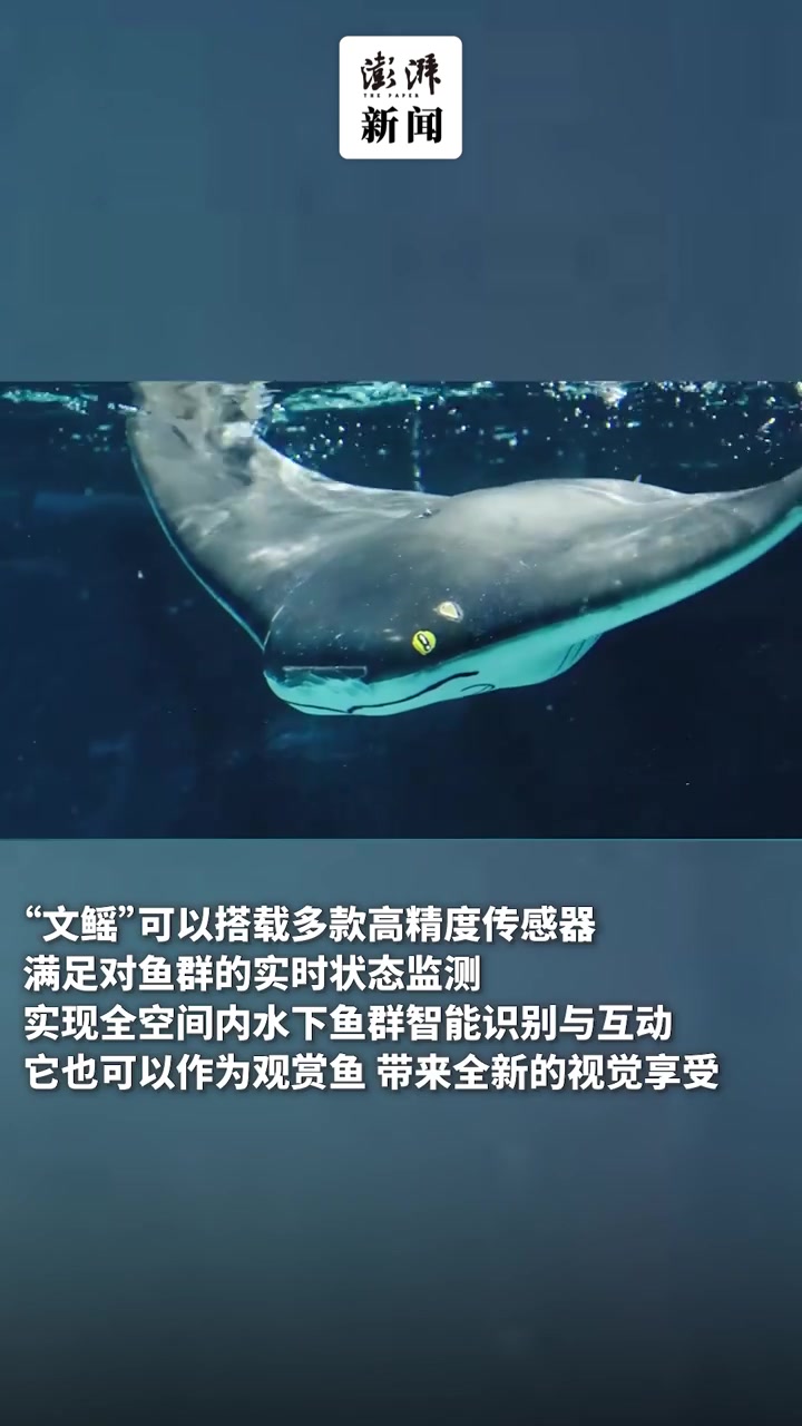 国内首款智能软体仿生鱼在沪问世,可用于深海勘探
