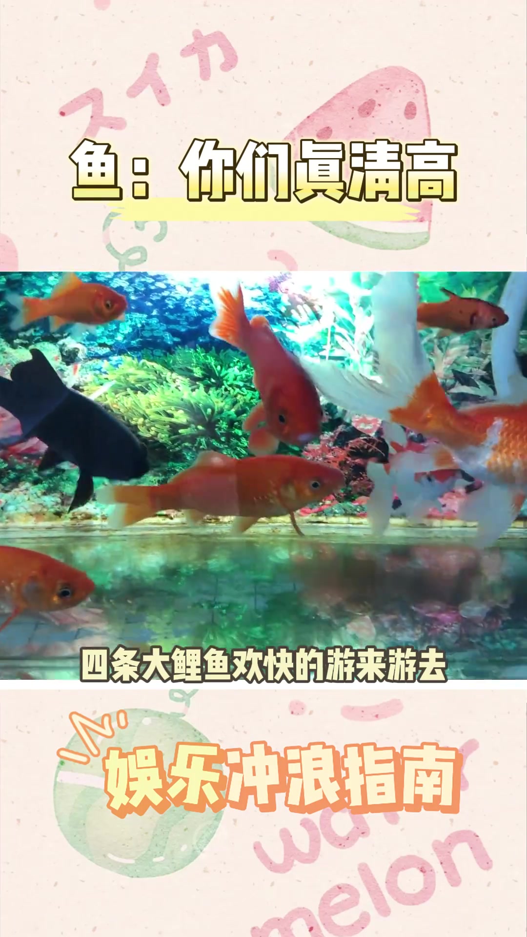 鱼:你们可真下头 内容过于真实 娱乐评论大赏 搞笑