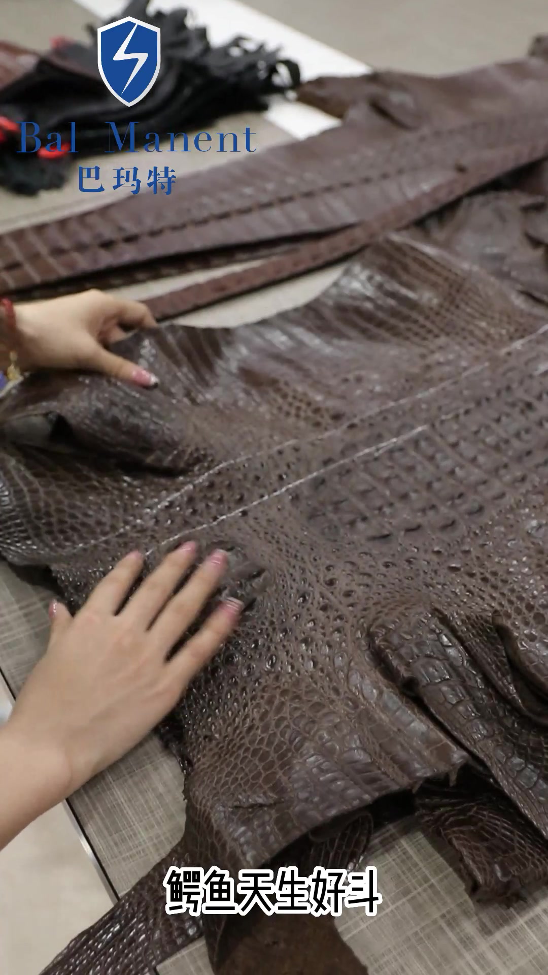 巴玛特整张鳄鱼皮介绍