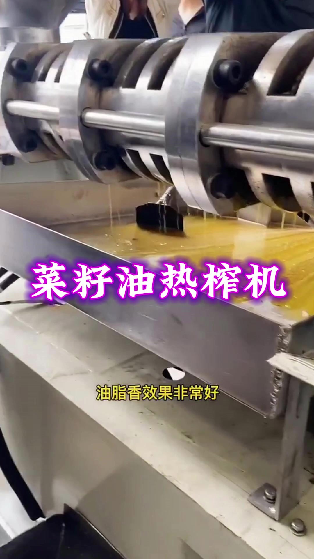 油菜籽热榨榨油机 全自动冷热两用压油机 条排螺旋油葵榨油设备