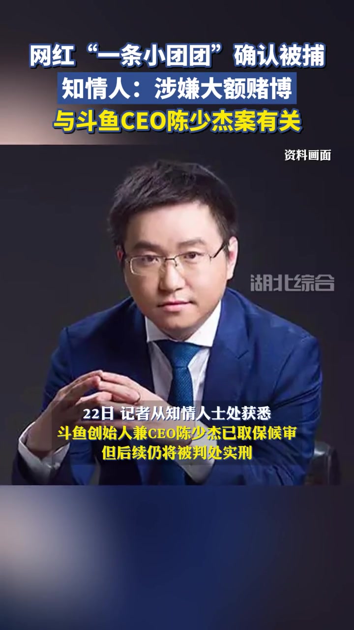 网红“一条小团团”确认被捕,知情人:涉嫌大额赌博,与斗鱼CEO陈少杰案有关