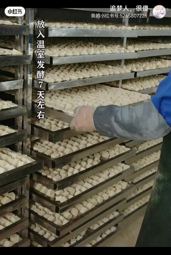 豆腐乳的制作过程