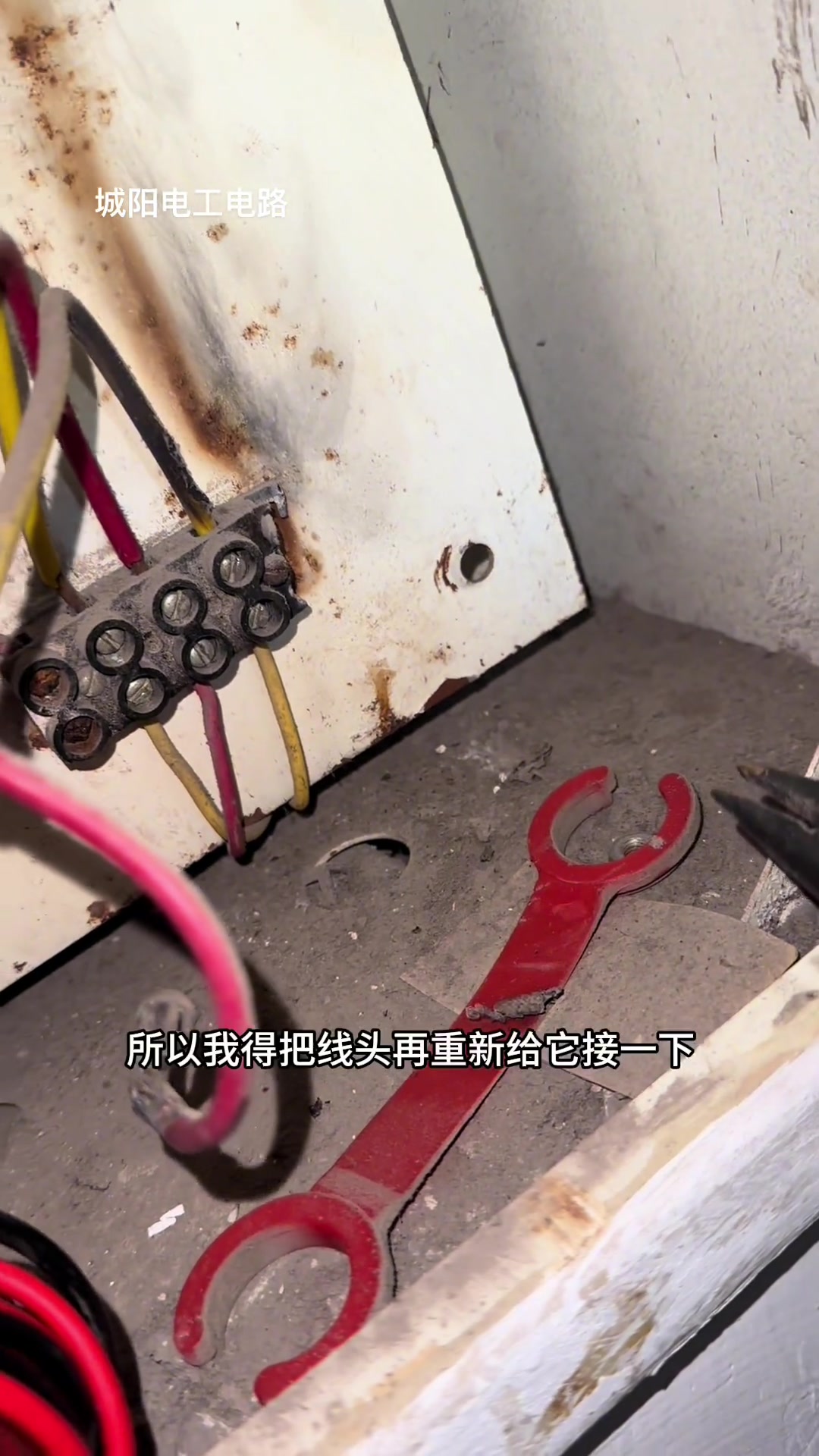 鱼缸水电人,针扎一样疼,怎么回事?