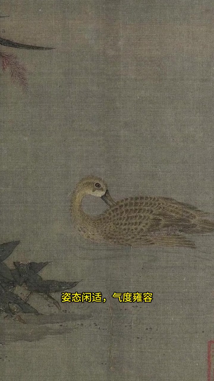 宋朝时期画的“溪芦野鸭”,姿态形象,气度优雅 国画 国画艺术 书画