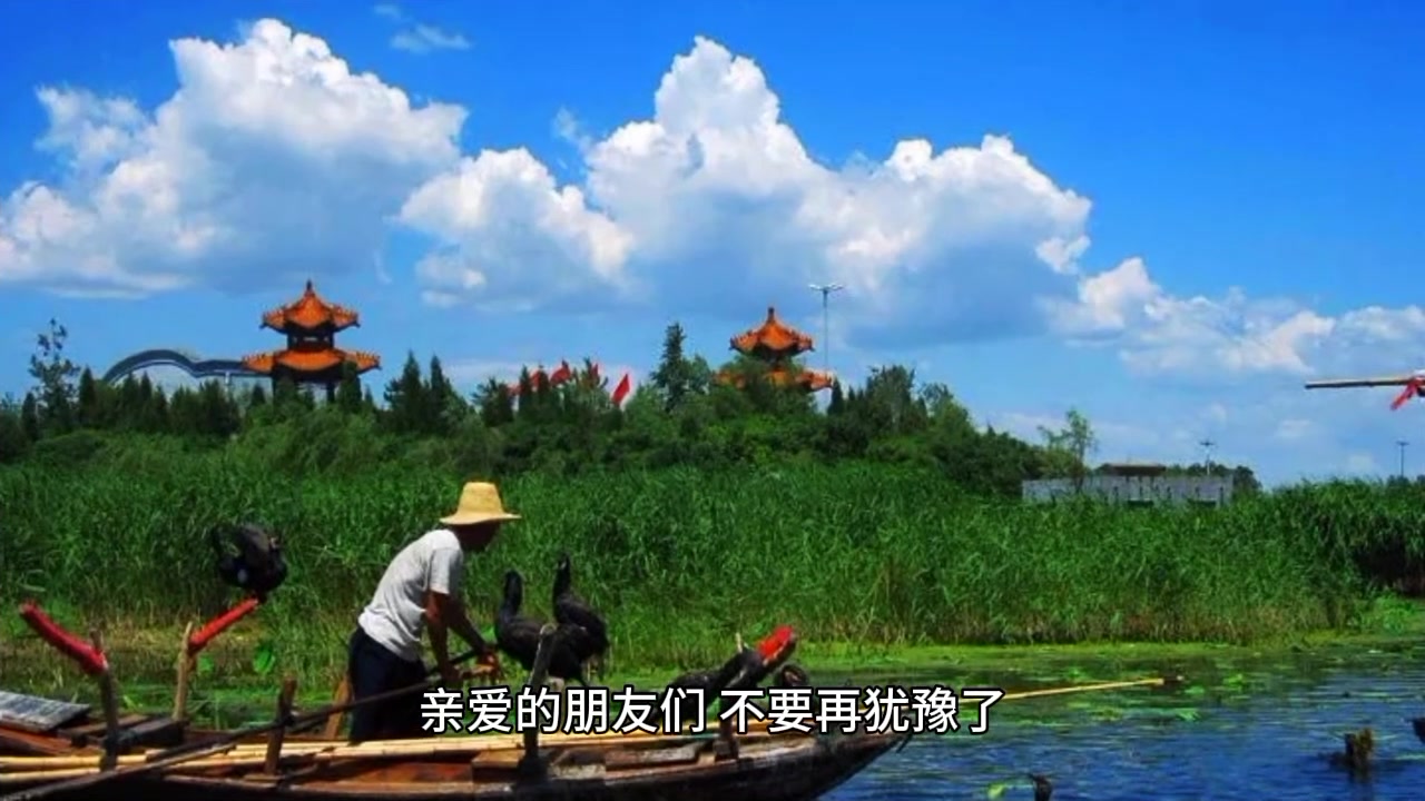 雄安白洋淀:水会九流,荷开十里,芦苇荡里出英杰!