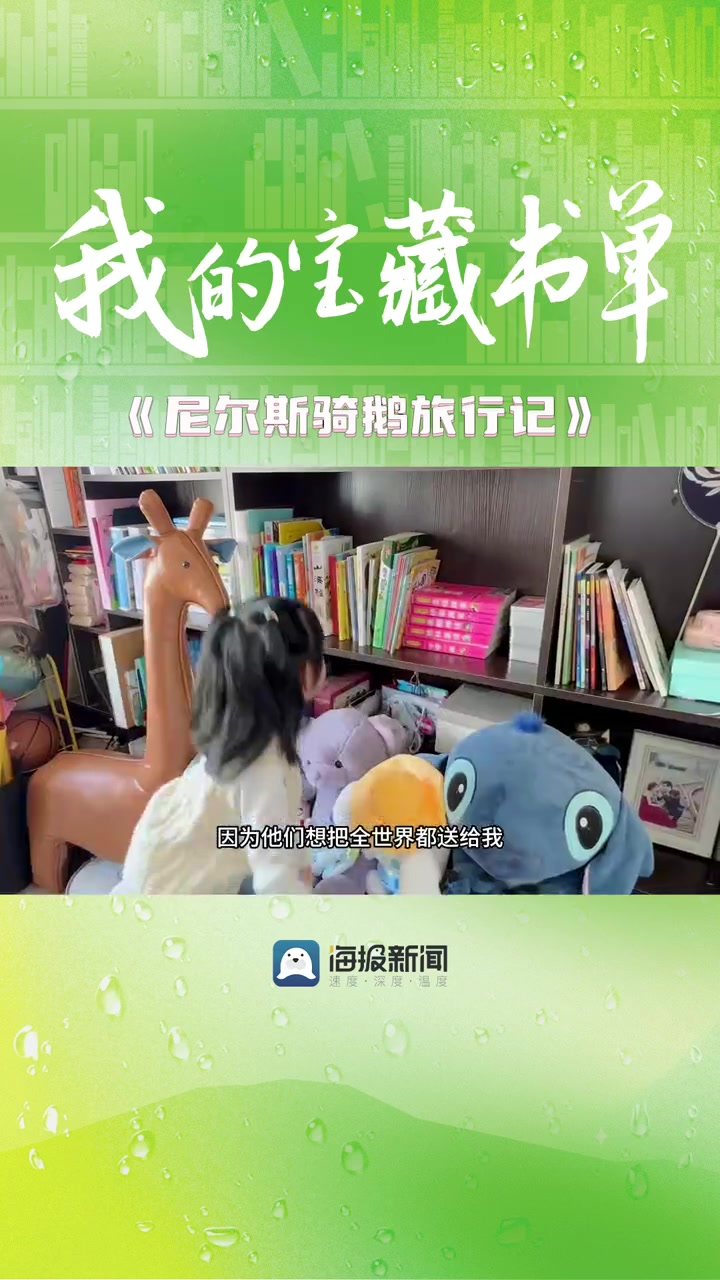 我的宝藏书单|①潍坊小学生暖心推荐《尼尔斯骑鹅旅行记》