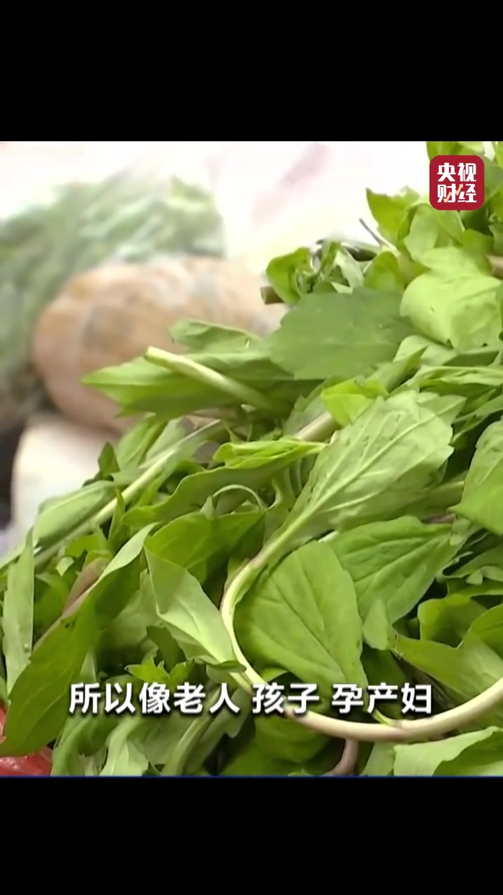 野菜不能随便吃 一市民连吃一周荠菜呕血住院