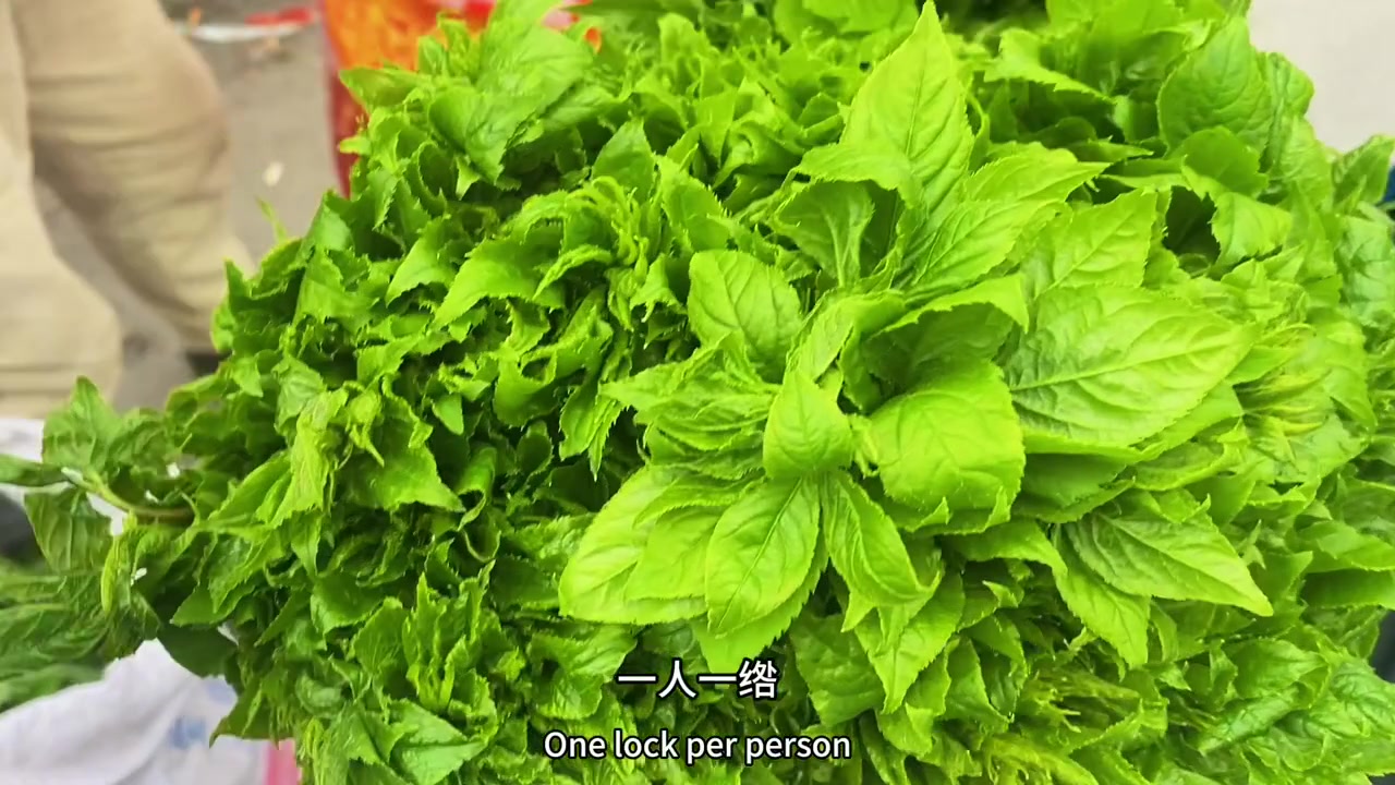 来本溪这实现地方野菜全自由