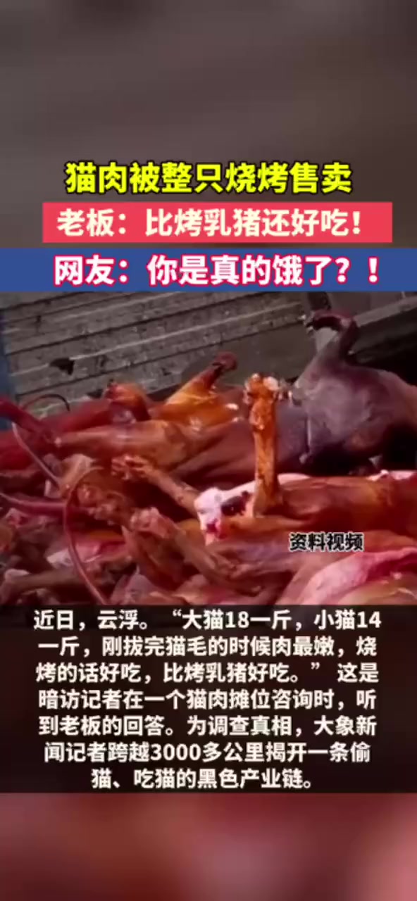 猫肉被整只烧烤售卖 老板:比烤乳猪还好吃!网友:你是真的饿了?!(来源:大象新闻)