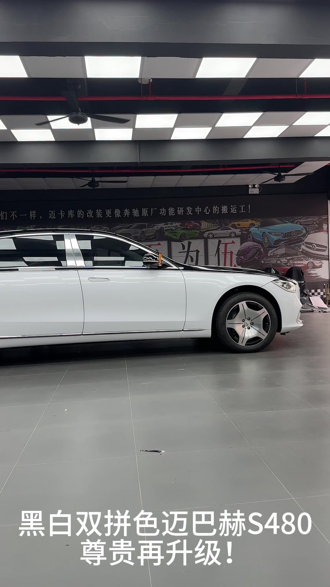 黑白双拼迈巴赫S480尊贵再升级