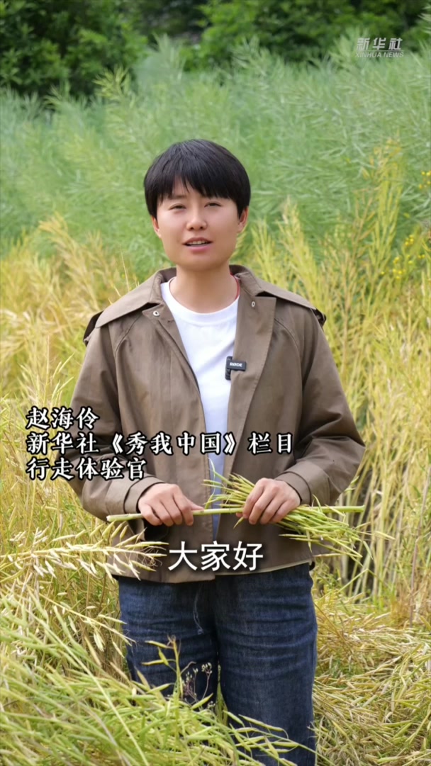 秀我中国|赵海伶:青春,像油菜籽一样充满希望