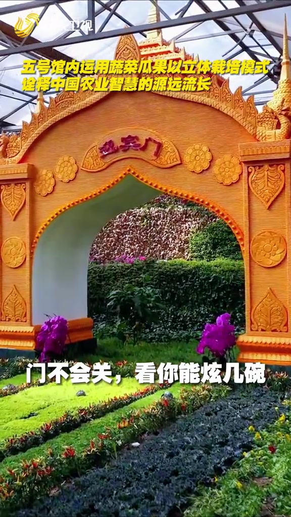 继万物皆可变风筝后,潍坊蔬菜又出手了!你告诉我这些都是用蔬菜做的?!不愧是世界潍坊宇宙寿光