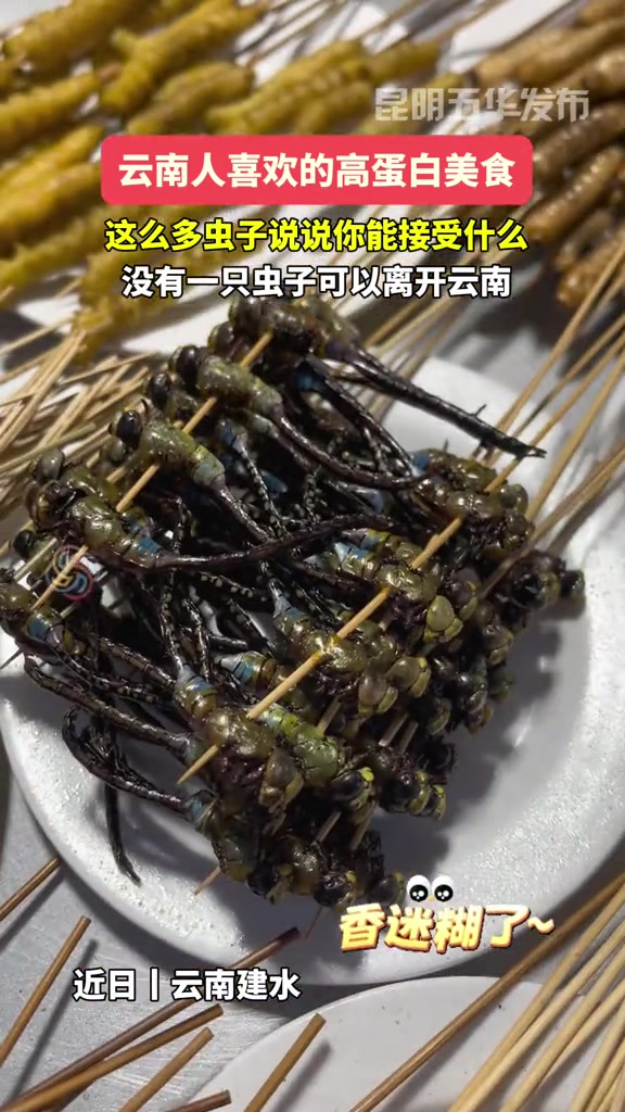 云南人喜欢的高蛋白美食,这么多虫子说说你能接受什么?没有一只虫子可以离开云南。昆虫宴 云南