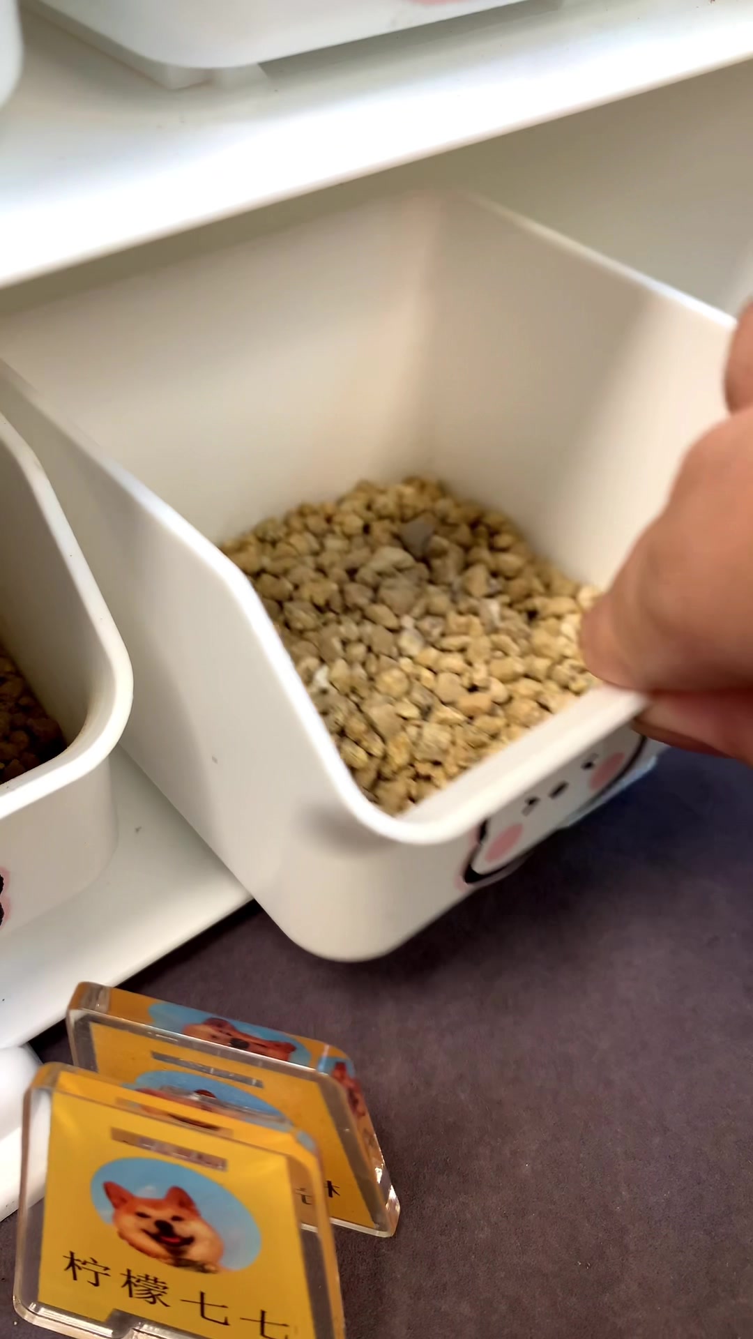 熊猫粉粉汤圆好可爱