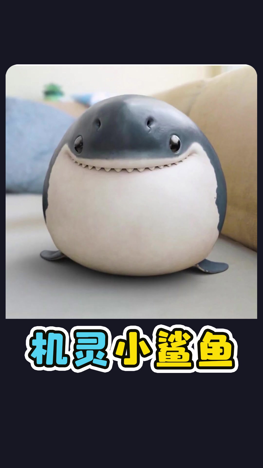 机灵小鲨鱼,喜欢吃小鱼干。动画