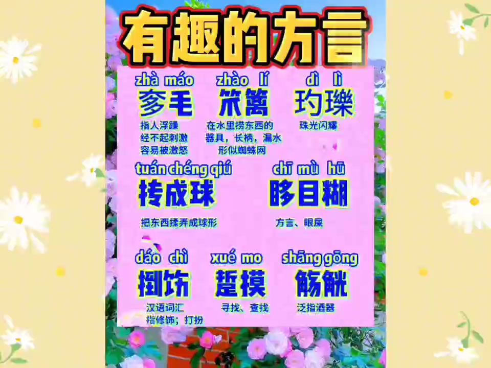 这些方言是哪里的方言呢