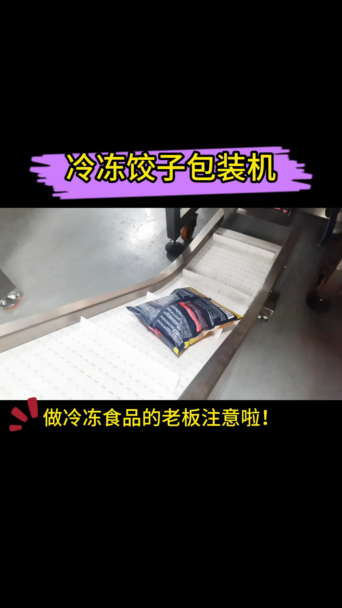 全自动冷冻饺子包装机