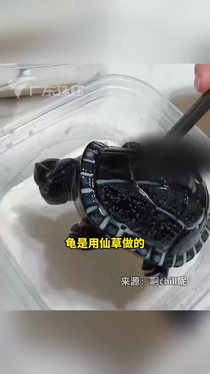 近日,广东一女子发现龟苓膏里居然真的有乌龟,原来是仙草做的模型,实在是太逼真了!