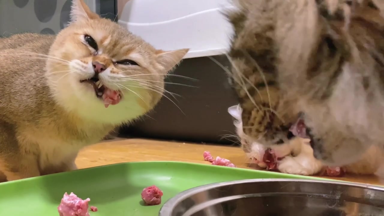 啃个鸭脖这么费劲?