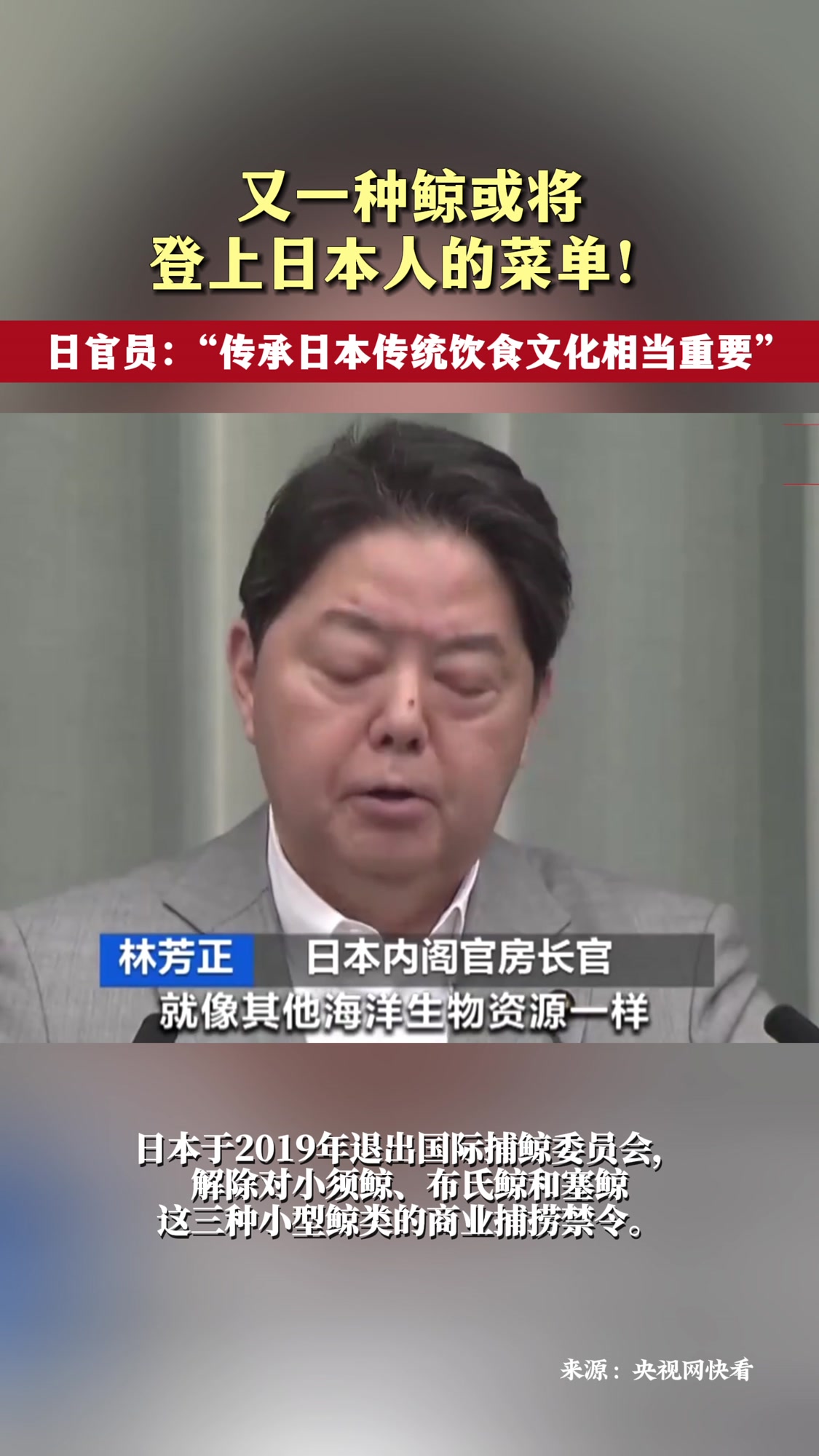 又一种鲸或将登上日本人的菜单!