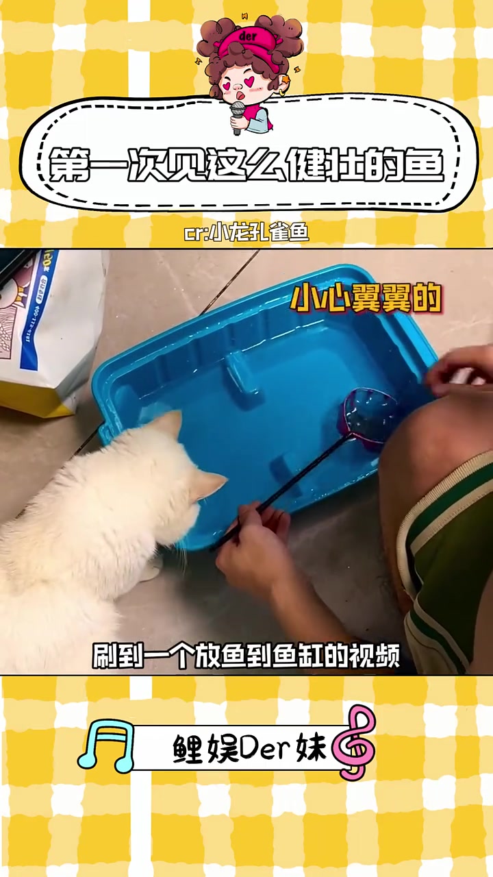 果然还是紫色有韵味啊!鱼 这谁顶得住啊 万万没想到 大数据推荐给有需要的人