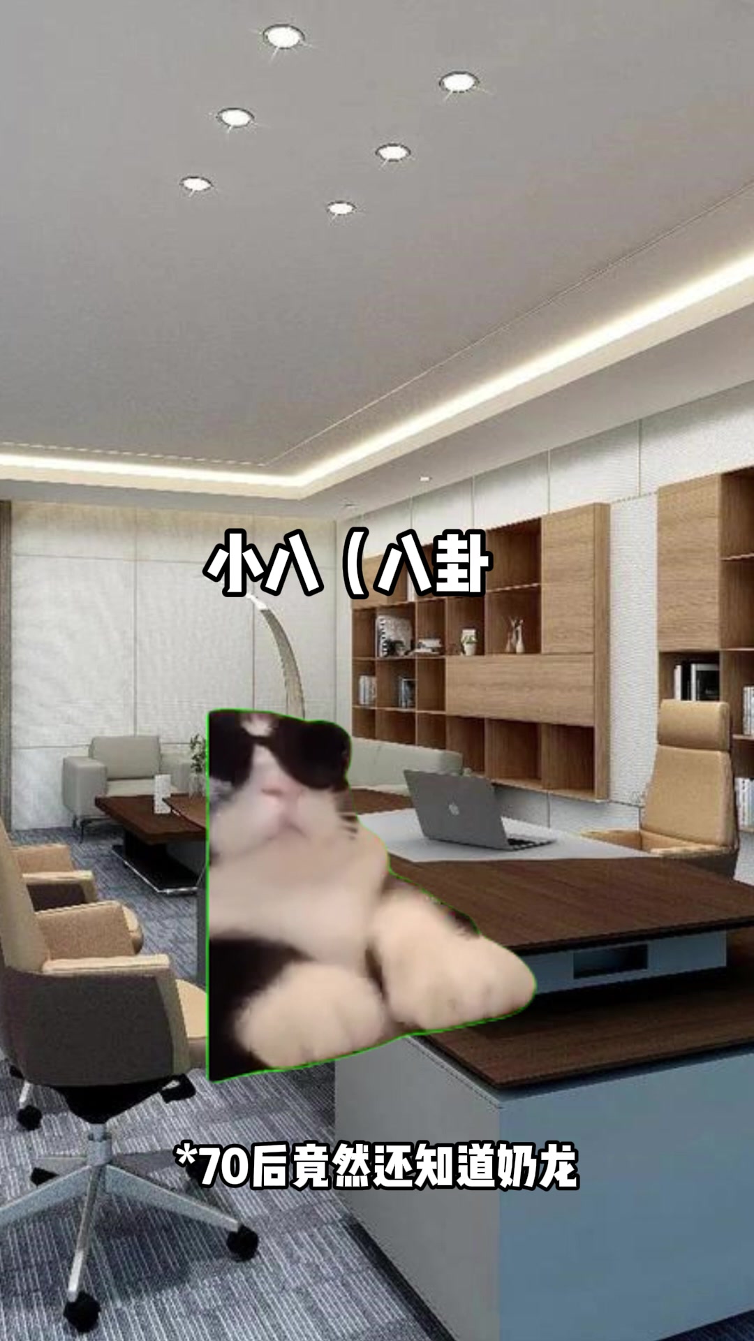 互联网公开数据采集神器八爪鱼采集器小编猫meme附体的一天