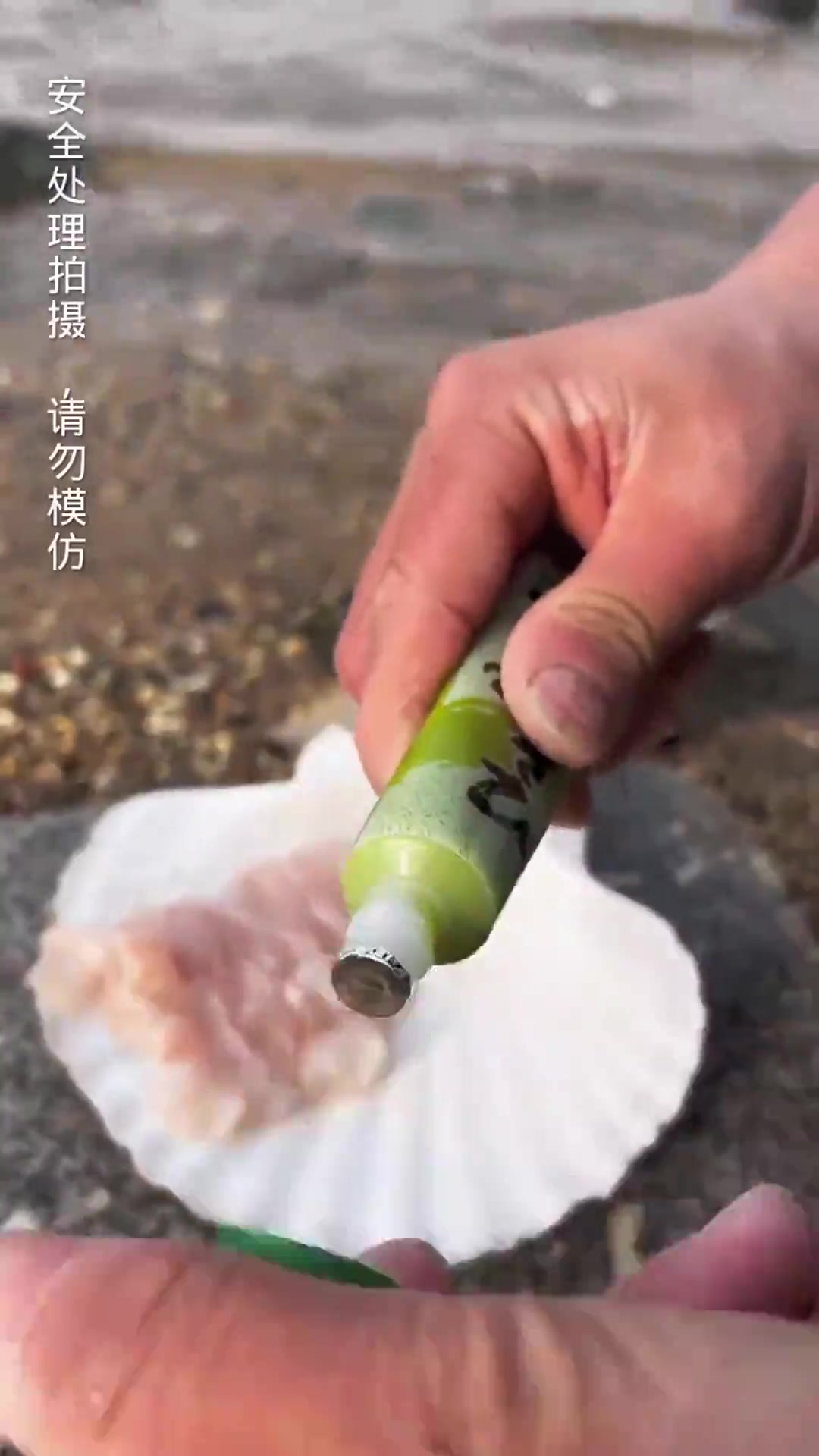 今天在海边觅食意外发现了一条花手绢鱼,最后我做的对吗