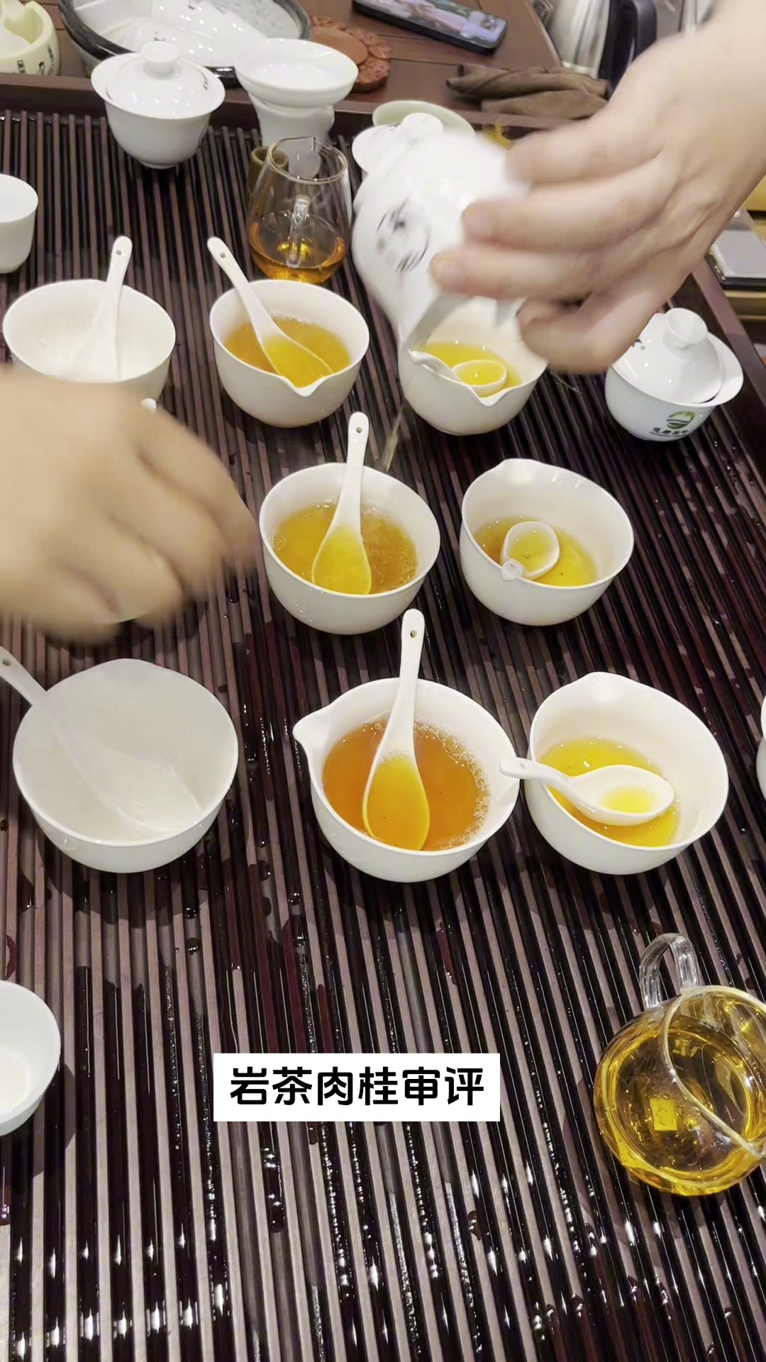 武夷山岩茶肉桂审评中