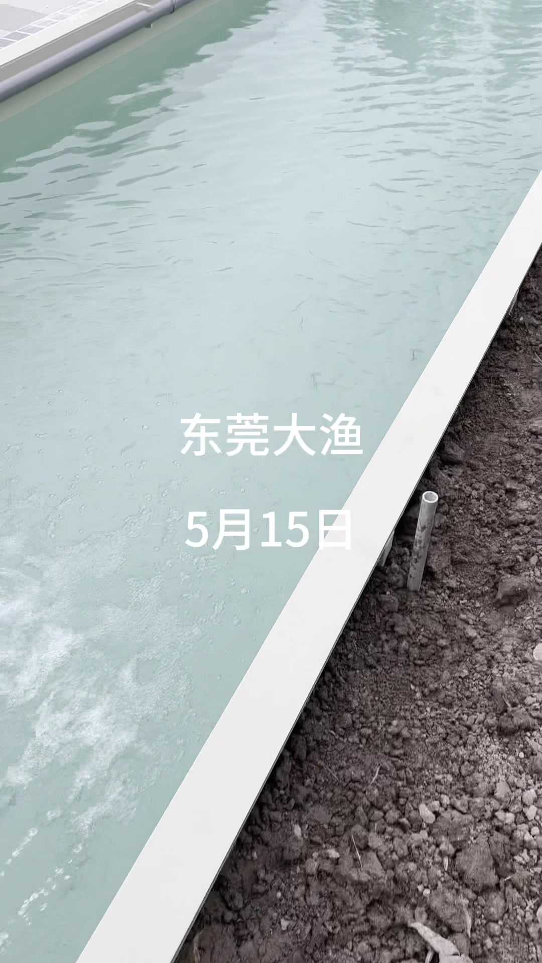 方形pp水产养殖鱼池