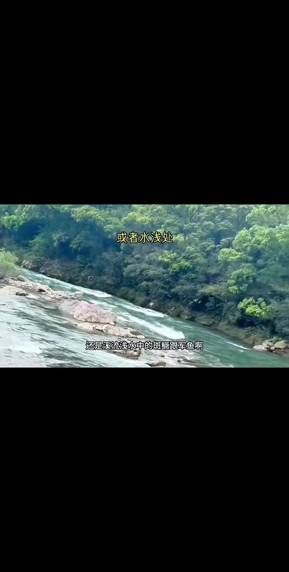 路亚翘嘴鳡鱼军鱼红眼等鱼类,真对上层的假饵悬浮米诺!创作灵感 路亚新手入门教程 路亚翘嘴 