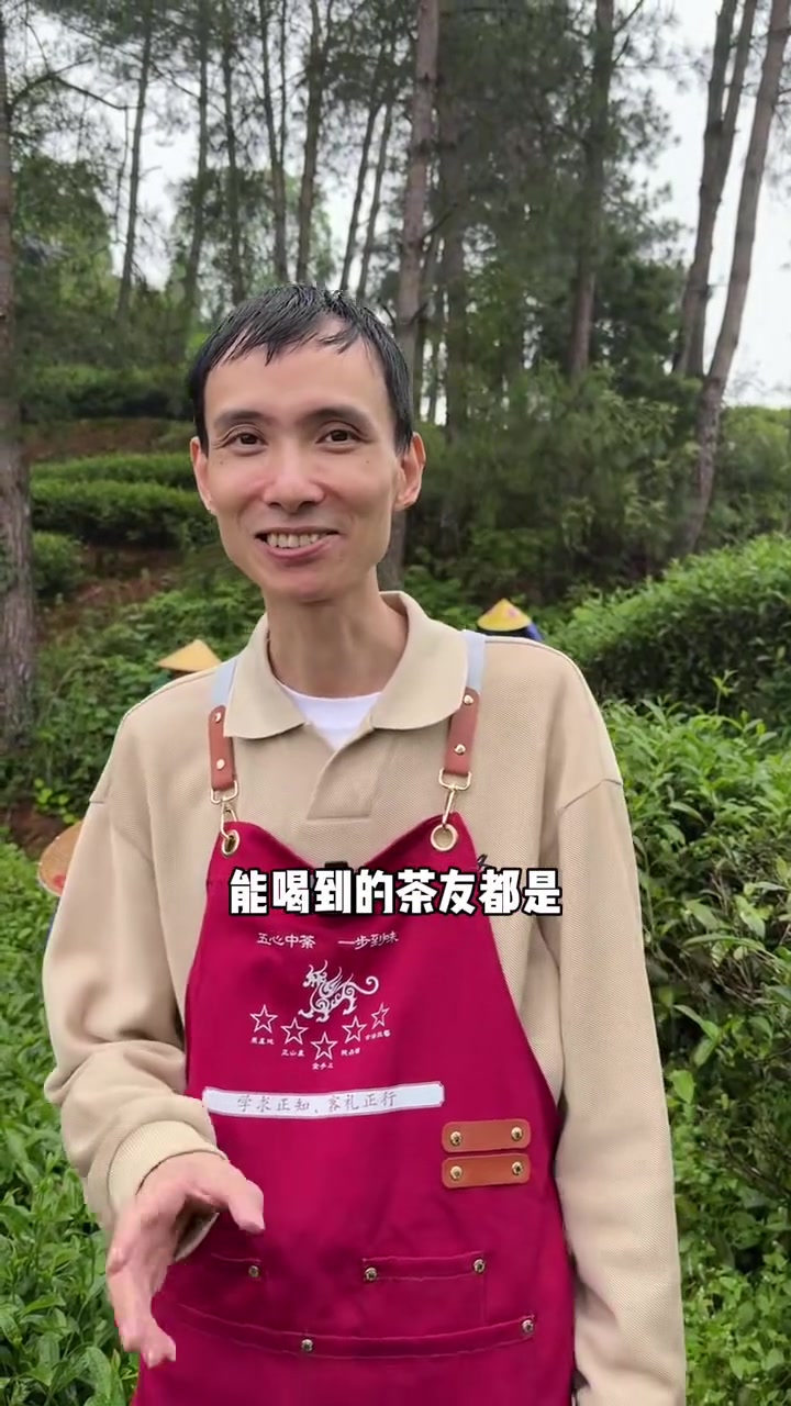 牛栏坑牛背肉桂采摘,日期5月3日早上。武夷岩茶 召唤茶友 春茶采摘 爱喝茶的关注我 武夷山