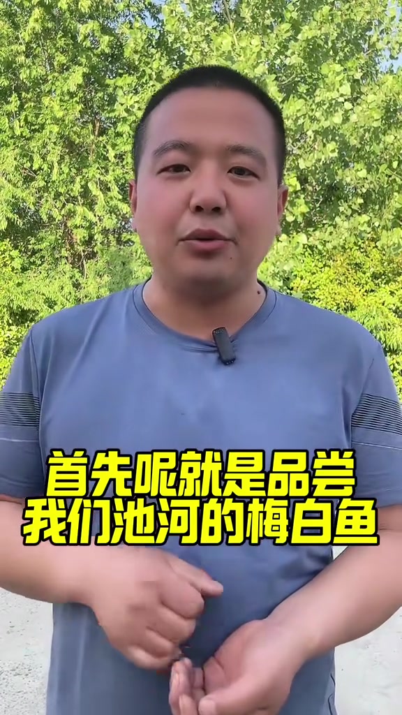 定远县池河镇梅白鱼文化旅游节即将开幕,一起来玩哦。梅白鱼文化旅游节