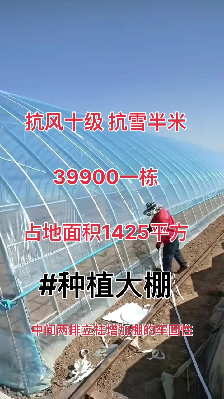 蔬菜钢架大棚,椭圆管大棚