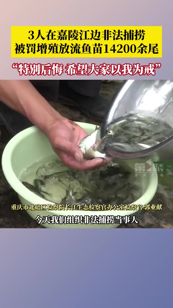 5月16日,重庆。3人在嘉陵江边非法捕捞被罚增殖放流鱼苗,共增殖放流鱼苗14200余尾,当