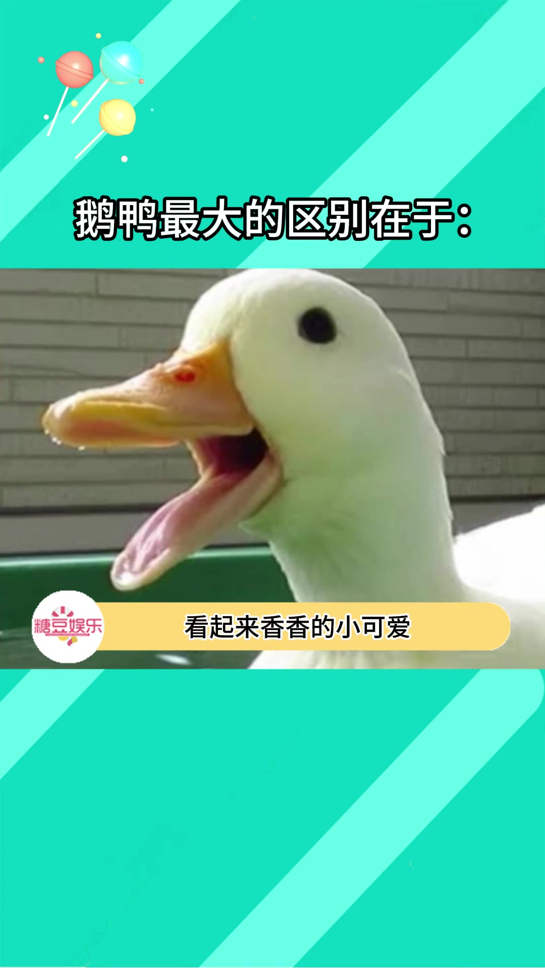 怪不得没吃过鹅舌呢……搞笑 万万没想到 娱乐评论大赏