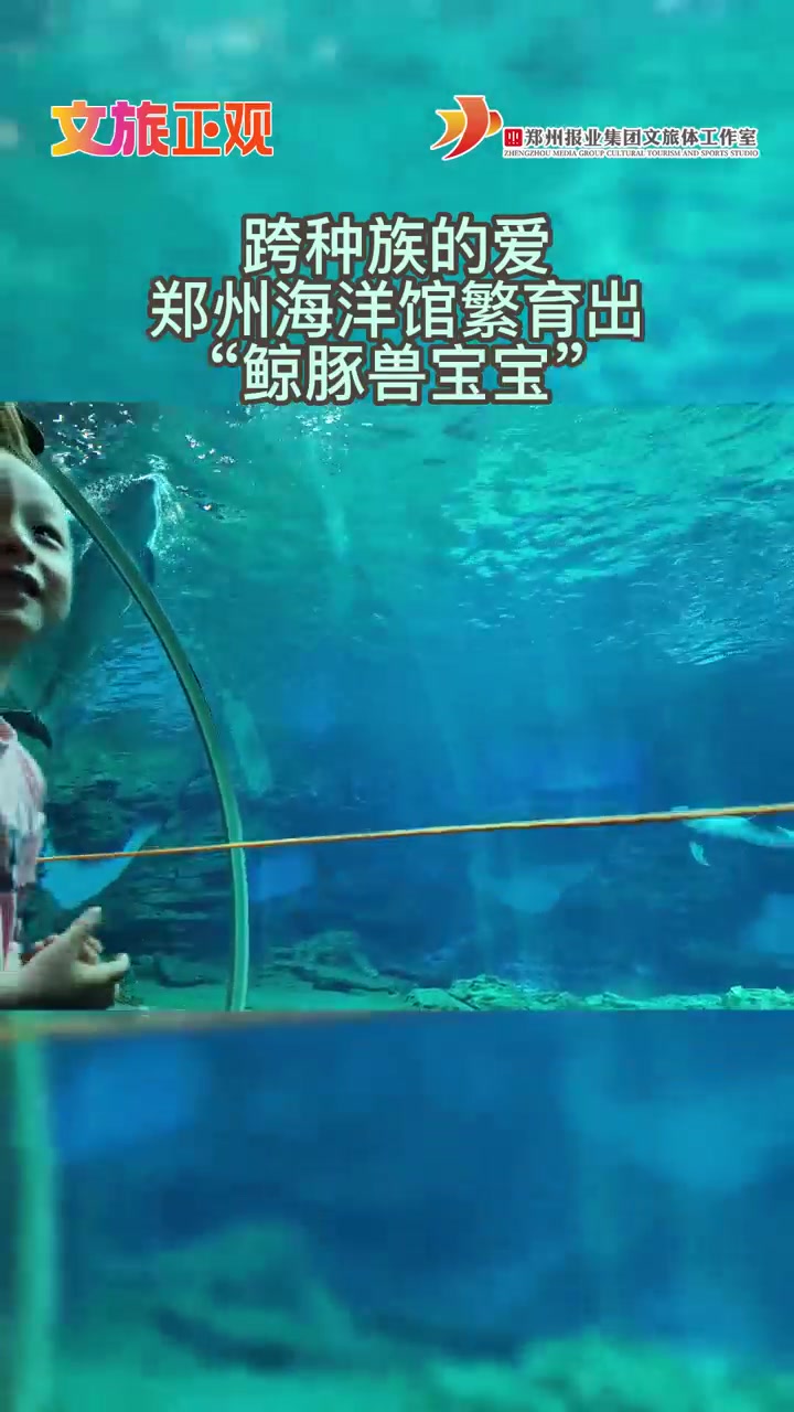 跨种族的爱,同样可以有结果:郑州海洋馆繁育出“鲸豚兽宝宝”