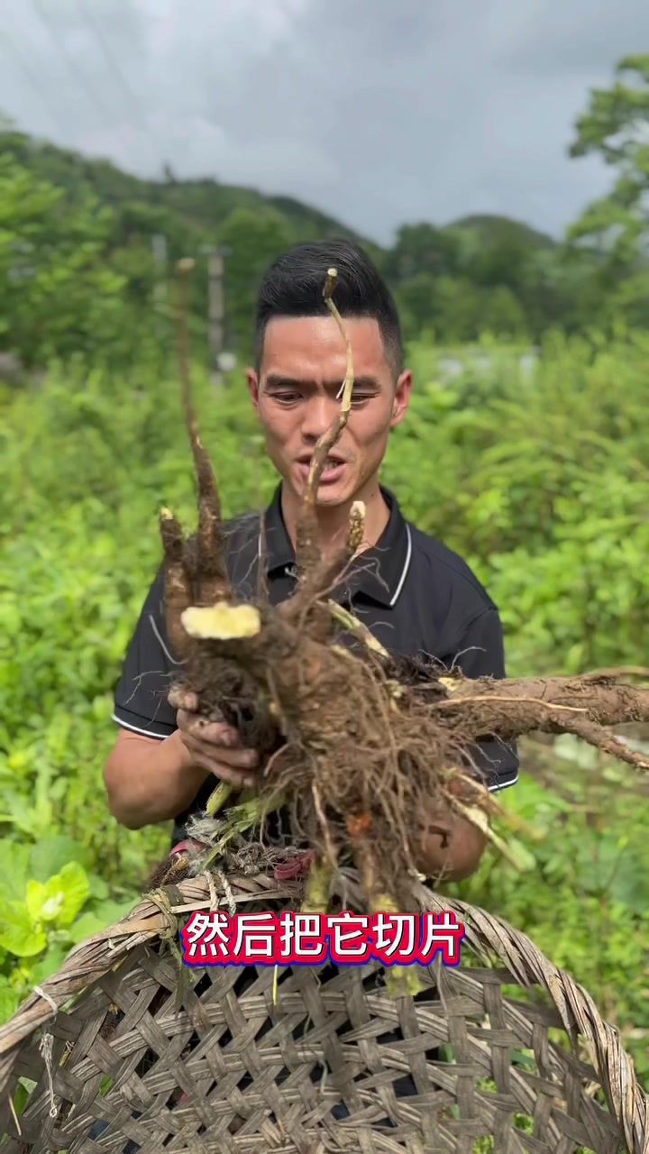鲜农达生态农业有限公司(中草药喂养跑山鸡)