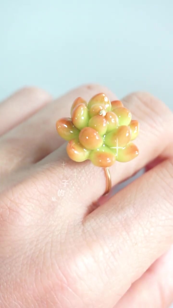 多肉戒指 手工diy 手作饰品 粘土