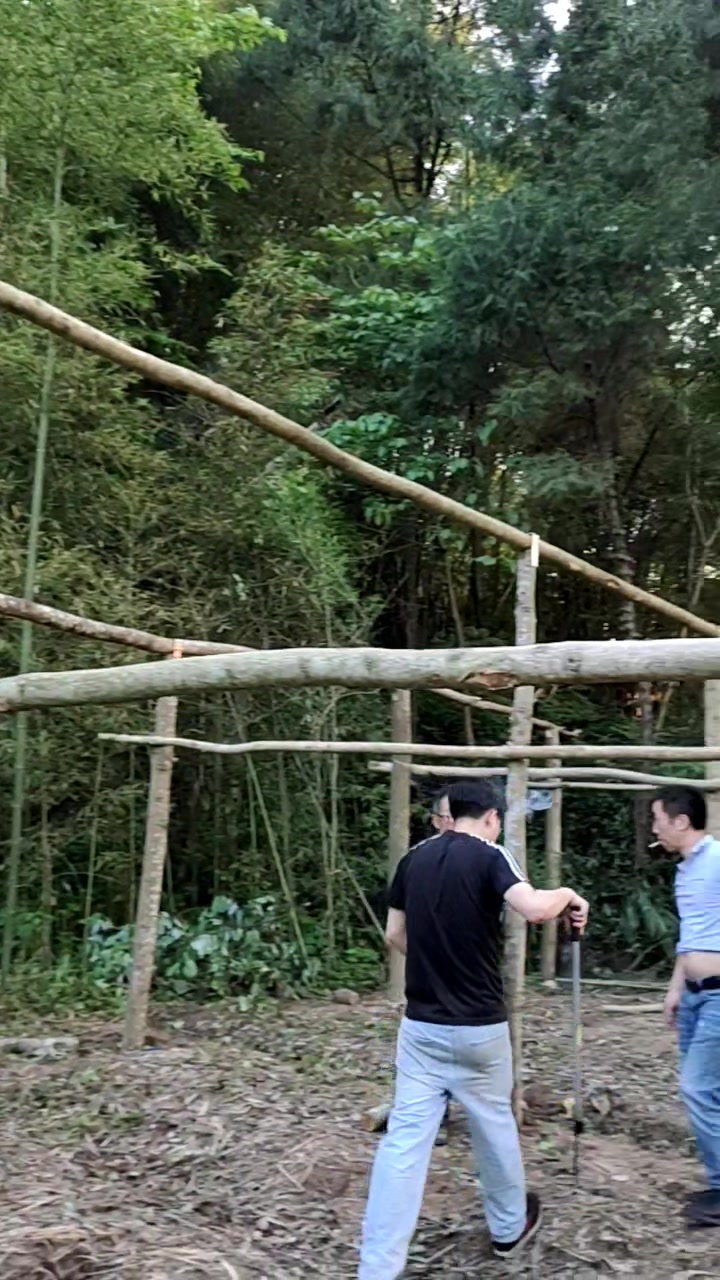 鸡舍框架搭建中……