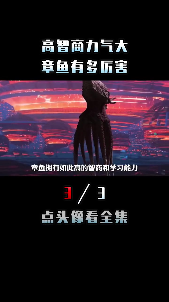 高智商高武力的章鱼,差点统治世界?为什么章鱼那么聪明?高智商 流言终结者 章鱼小丸子 烤鱿