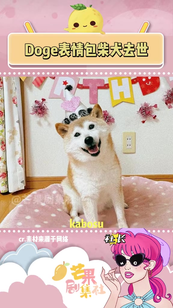 狗头doge门永存!柴犬 狗狗 表情包 杀我别用狗狗刀 养宠物的emo瞬间