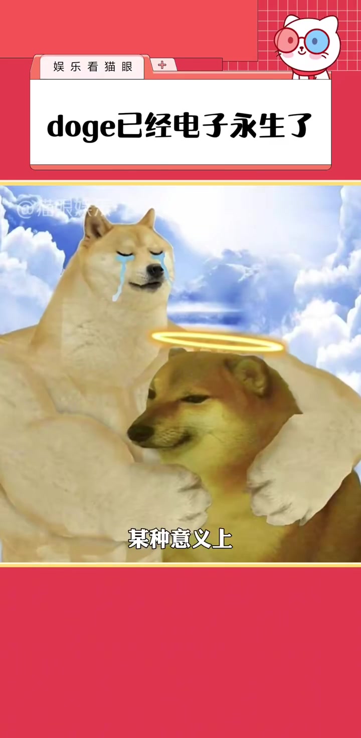 表情包小狗doge也去了汪星 但某种意义上他们已经电子永生了 doge 小狗 表情包 狗头