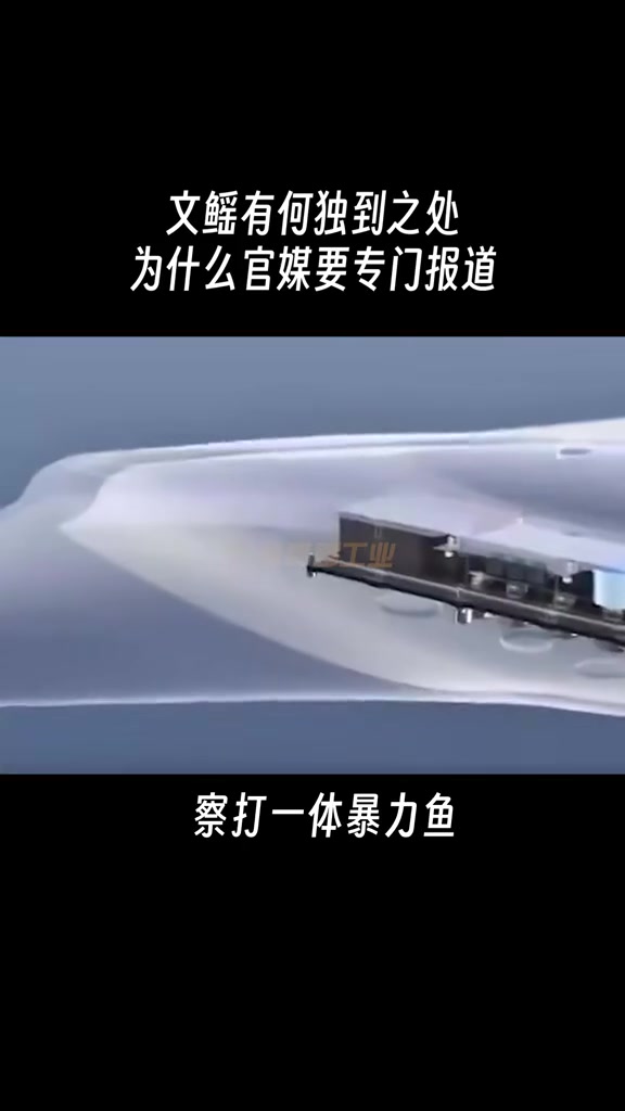 中国研制最仿真机器鱼,从此大海没有秘密 仿生机器蝠鲼 中国高科技 军事技术