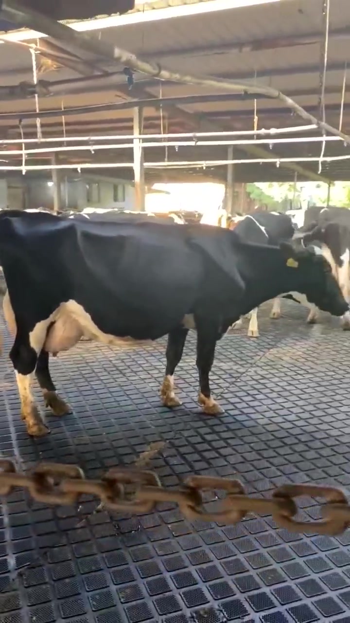 饭菜保温板,你觉得这东西实用吗