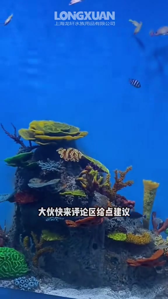 放鱼快一周了,让我们看看鱼缸里现在是什么情况?大型鱼缸 别墅鱼缸设计 亚克力鱼缸 鱼缸定制